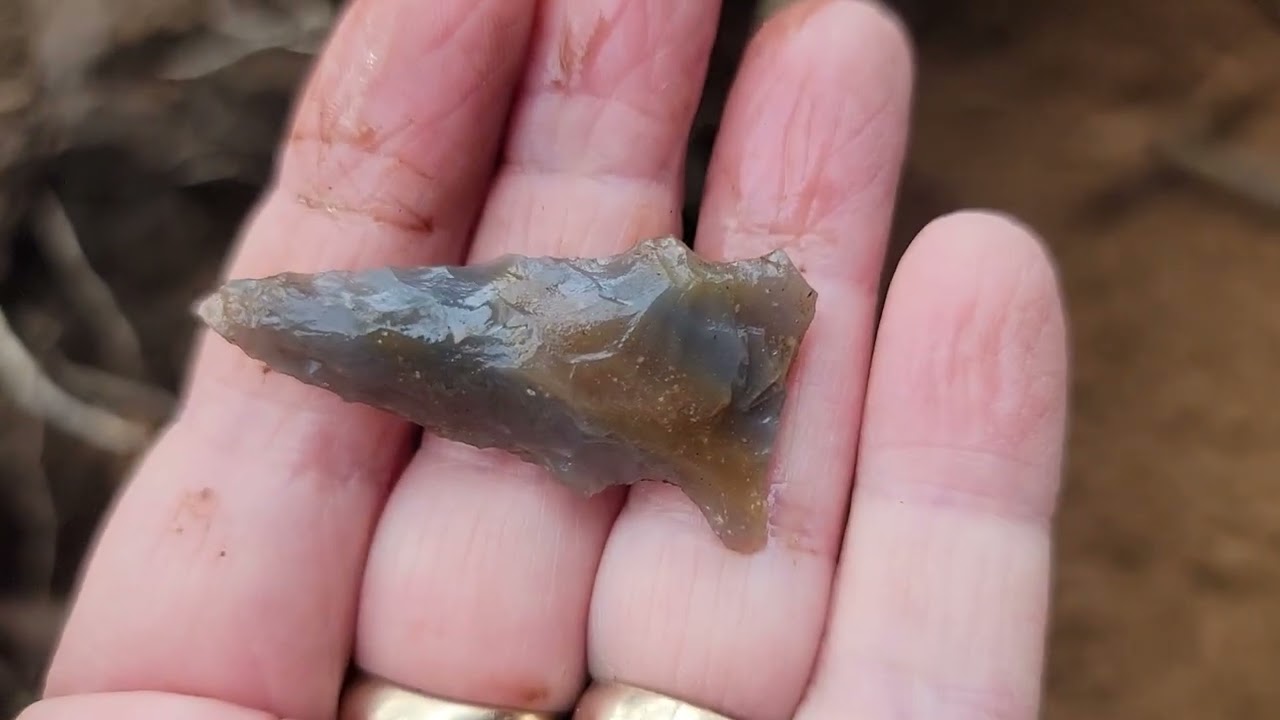 Arrowhead Hunting in Tennessee -Finally Back to Digging ☺️  #arrowheadhunting #arrowheads