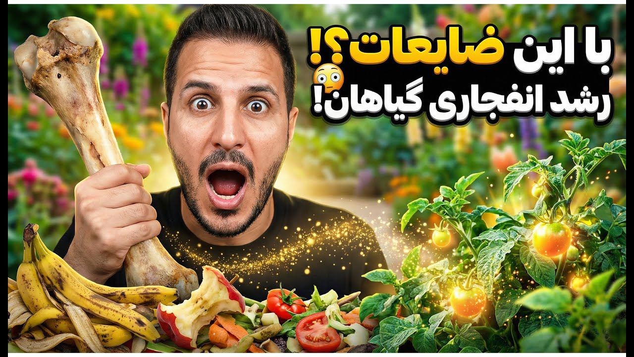 این کود خانگی رو بساز، دیگه کود نخَر!
