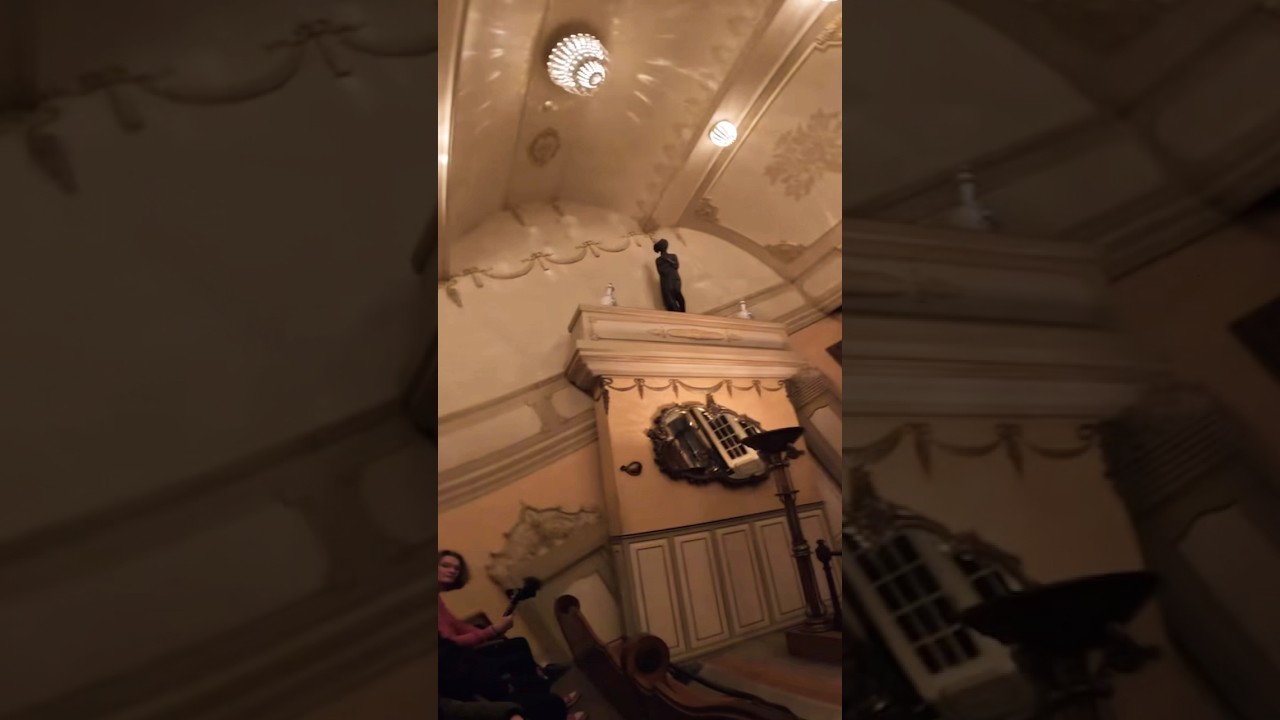🔄 Villa Volta draait je wereld op z’n kop! | Efteling Onride POV | Theme Park Holland #shorts