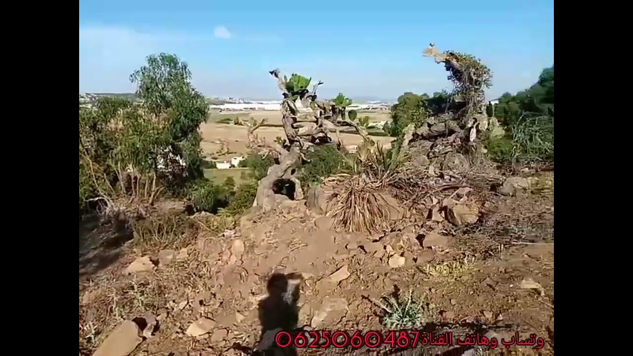 ارض للبيع جبيلة طريق اشقار