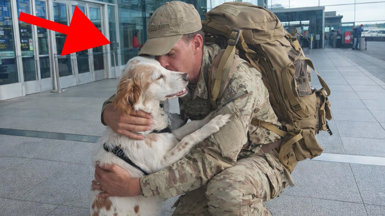 🥰🥰 Emotional Reunion! Loyal Dog Greets His Soldi
