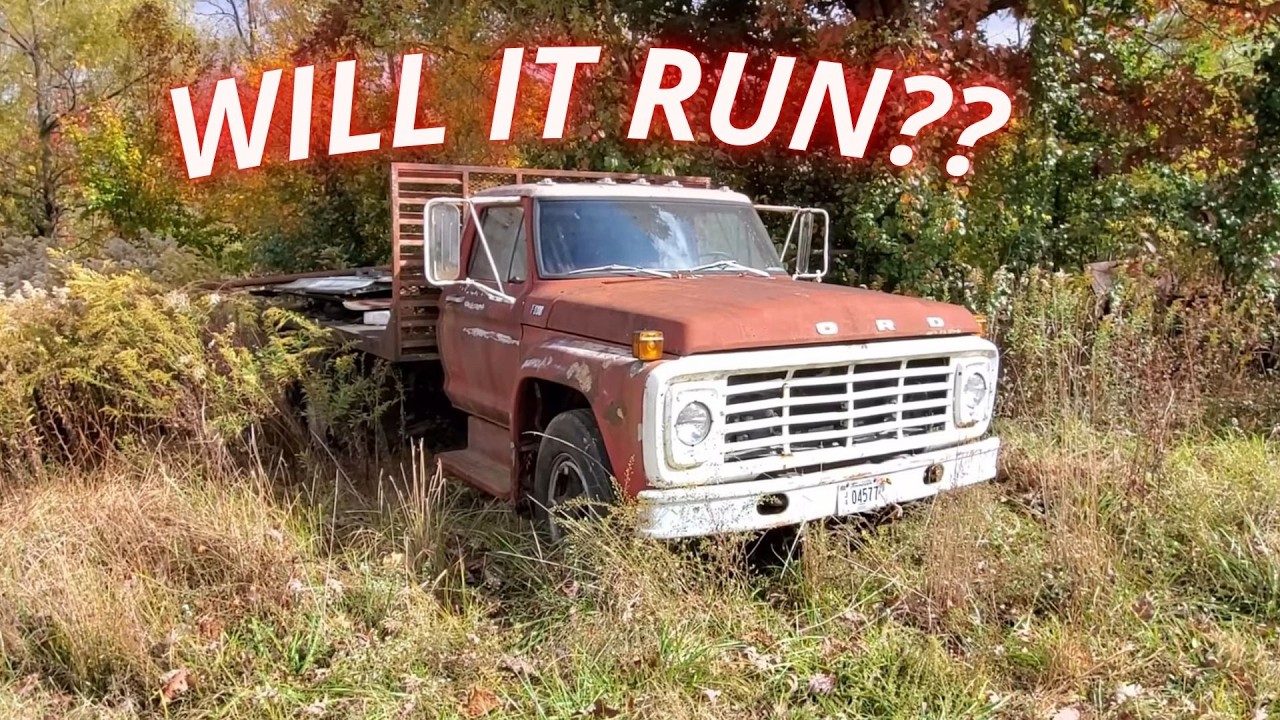 Let's Get this 1977 F600 Ready For The Farm Again | Has Lots Of Issues!!