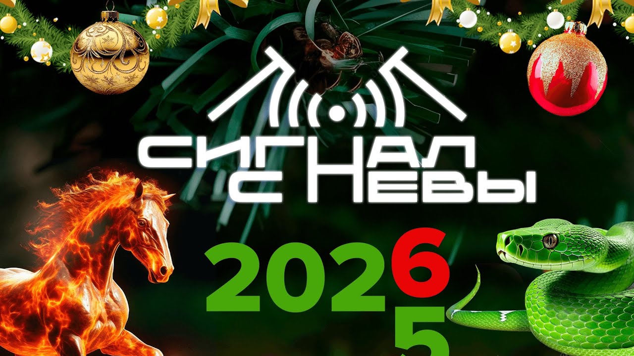 ‼️ИТОГИ 2025‼️ Новый выпуск «Сигнал с Невы»