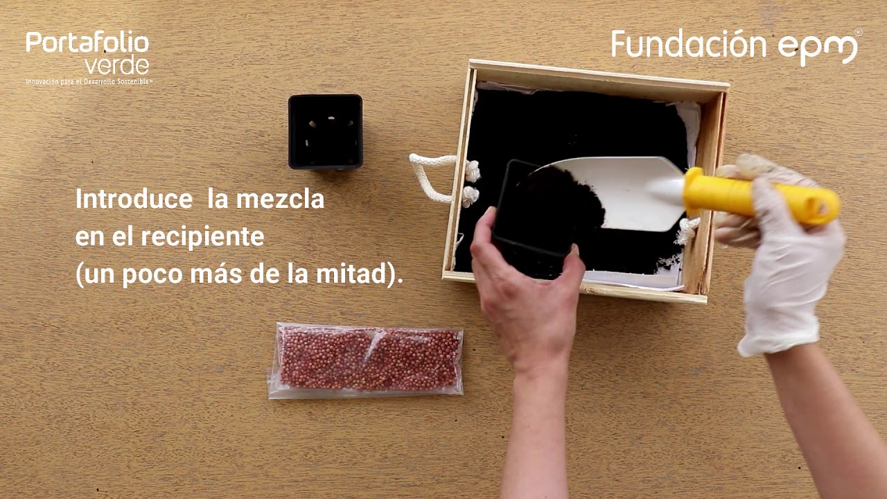 C&oacute;mo sembrar con humus s&oacute;lido