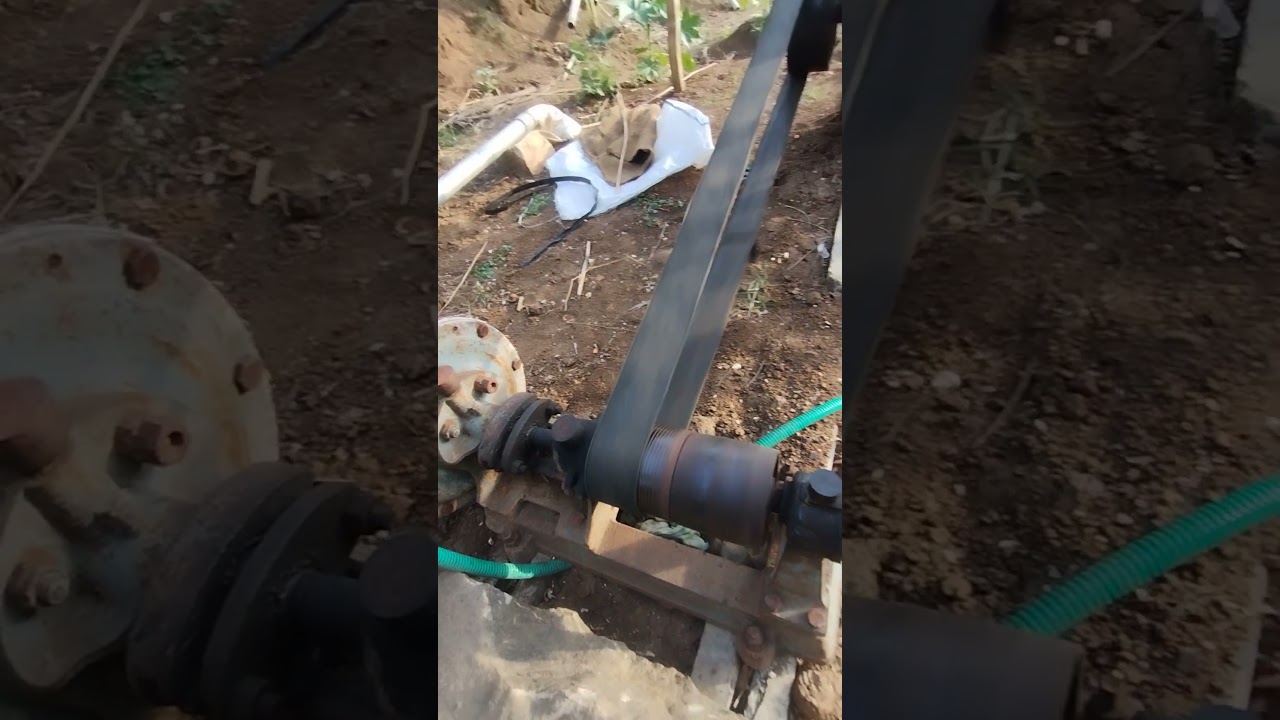Slow Speed Diesel Engine pumps water from the borewell #dieselengine #agriculture