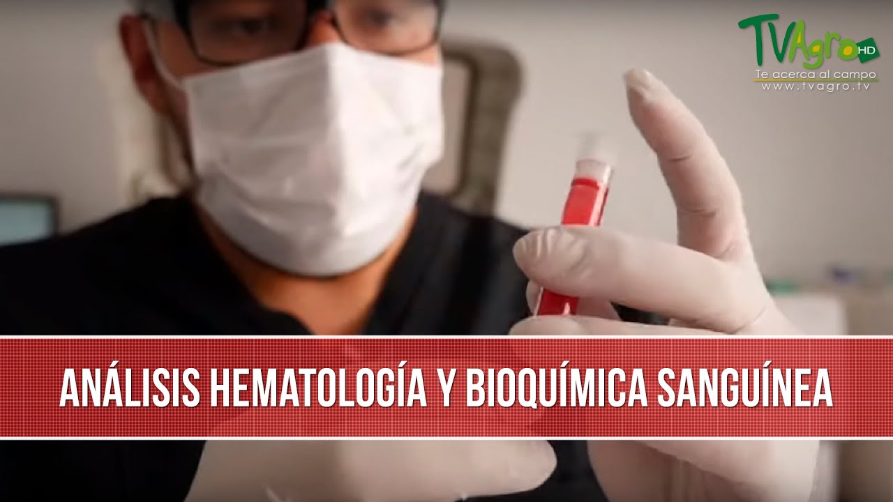 Análisis Hematológico y Bioquímico Veterinario - TvAgro por Juan Gonzalo Angel