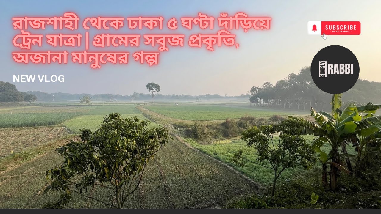 রাজশাহী থেকে ঢাকা ৫ ঘণ্টা দাঁড়িয়ে ট্রেন যাত্রা | গপ্রকৃতি, অজানা মানুষের গল্প, পরিবারের জন্য মনখারাপ