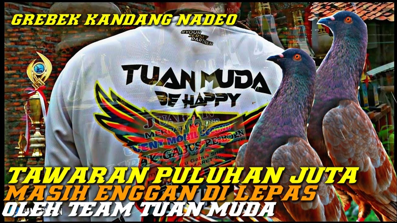 GREBEK KANDANG NADEO PLAYER TEAM TUAN MUDA BKI SUDAH BANYAK TAWARAN