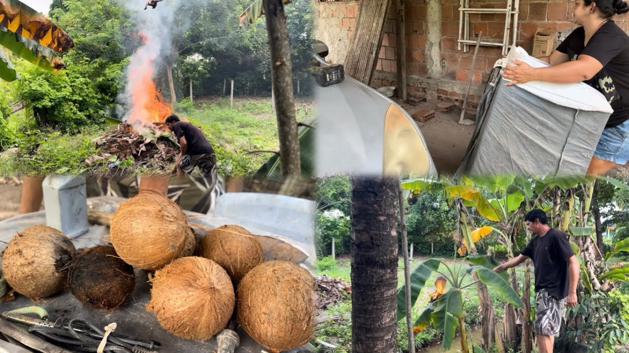 Que perigo Adriano passou limpeza no quintal casa de maribondo na folha mais…