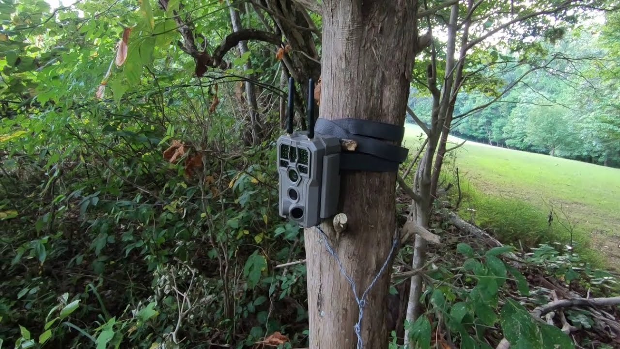 NEW! GardePro E8 2.0 Pro Extended Range Wi-fi Trail Camera Review (With Footage)