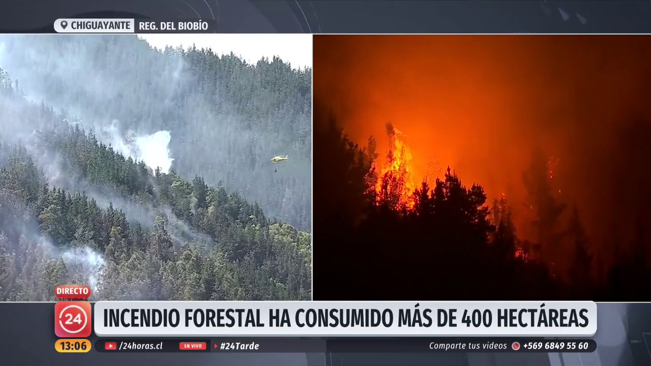 Incendio forestal consume m&aacute;s de 400 hect&aacute;reas en Chiguayante
