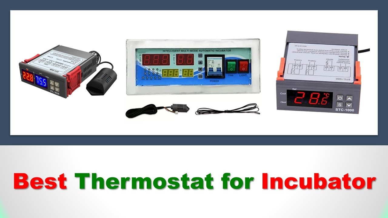 5 Best Thermostat for Incubator in India |Incubator Temperature Controller| THERMOSTAT EGG INCUBATOR