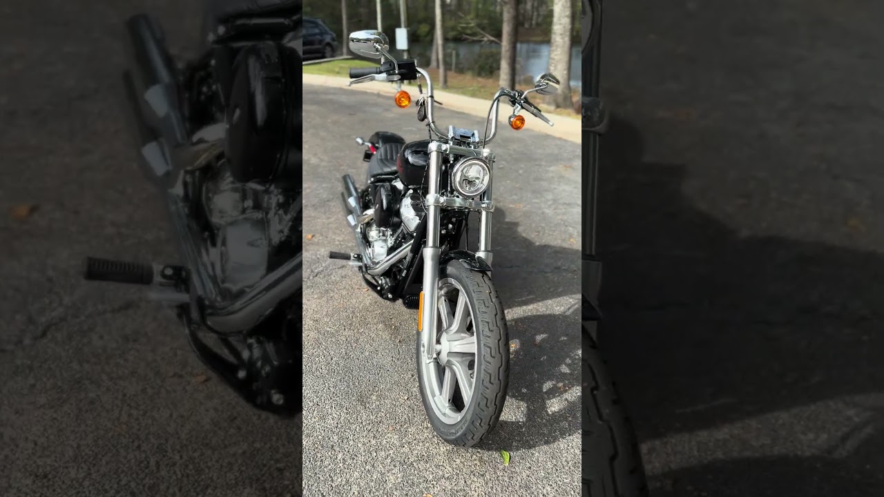 2024 Harley-Davidson® FXST - Softail® Standard - 054877