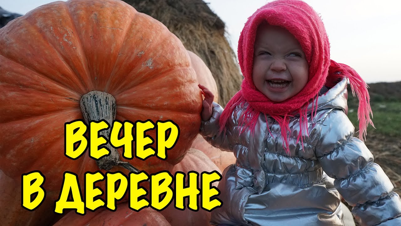 ОСЕННИЙ ВЕЧЕР В ДЕРЕВНЕ. Уход за домашним хозяйством. Влог про жизнь в деревне