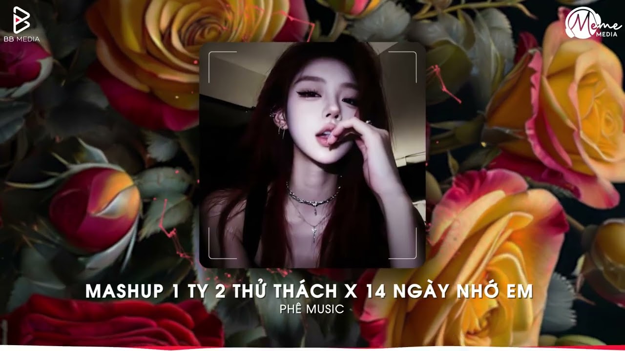 Mashup Một Tình Yêu Hai Thử Thách x 14 Ngày Nhớ Em - Hoàng Anh Remix🎼Cực Phẩm TikTok Triệu View 2026