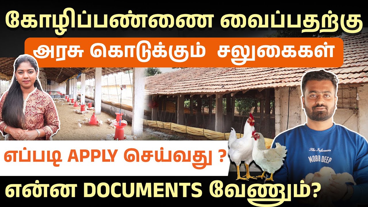 அரசு தரும் கோழிப் பண்ணை மானியம் | Poultry Farming Subsidy Tamil முழு விவரம் | Madhumitha