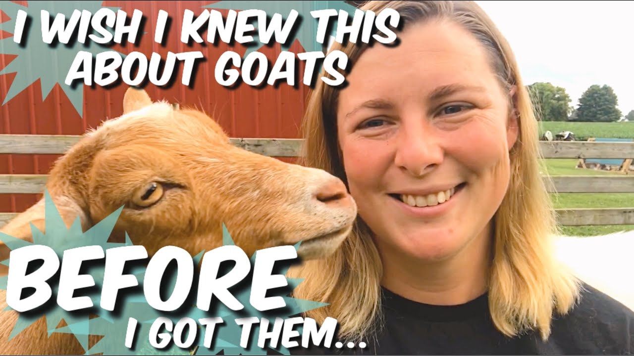Top 10 Things You NEED To Know BEFORE Getting Goats!  #RaisingGoatLessons