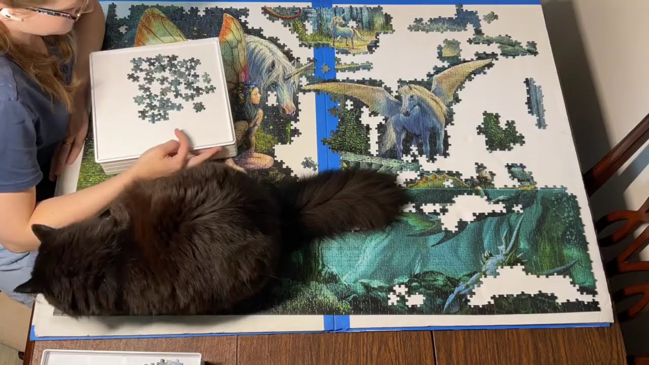 Ravensburger Dragon Forest 9000 Piece Puzzle Part 3