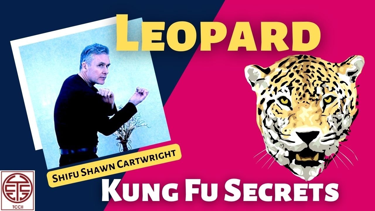 Leopard Kung Fu Style Animal Techniques & Applications - Kung Fu Secrets