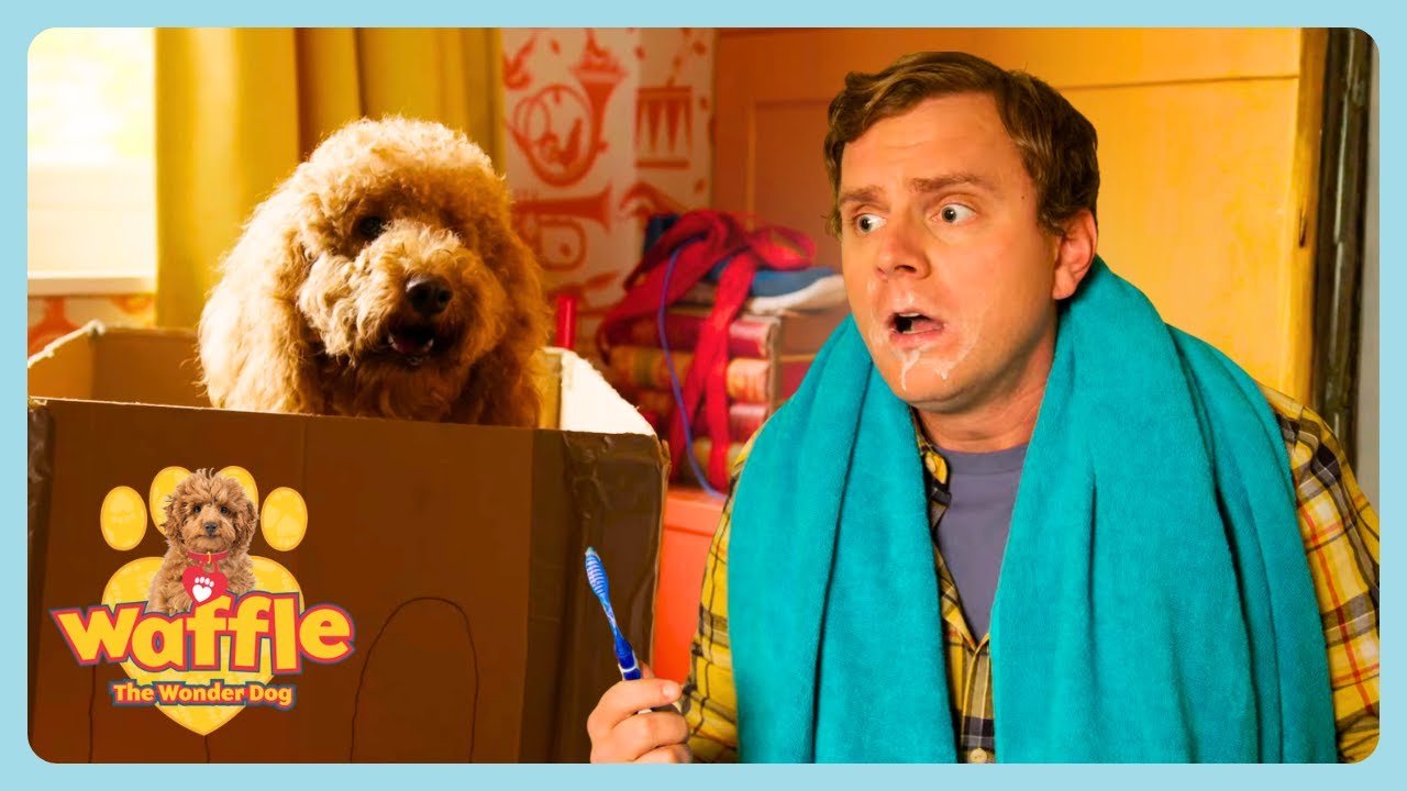 Waffle the Wonder Dog - Waffle's Make and Do | Shows for Kids & Families | WildBrain Zigzag