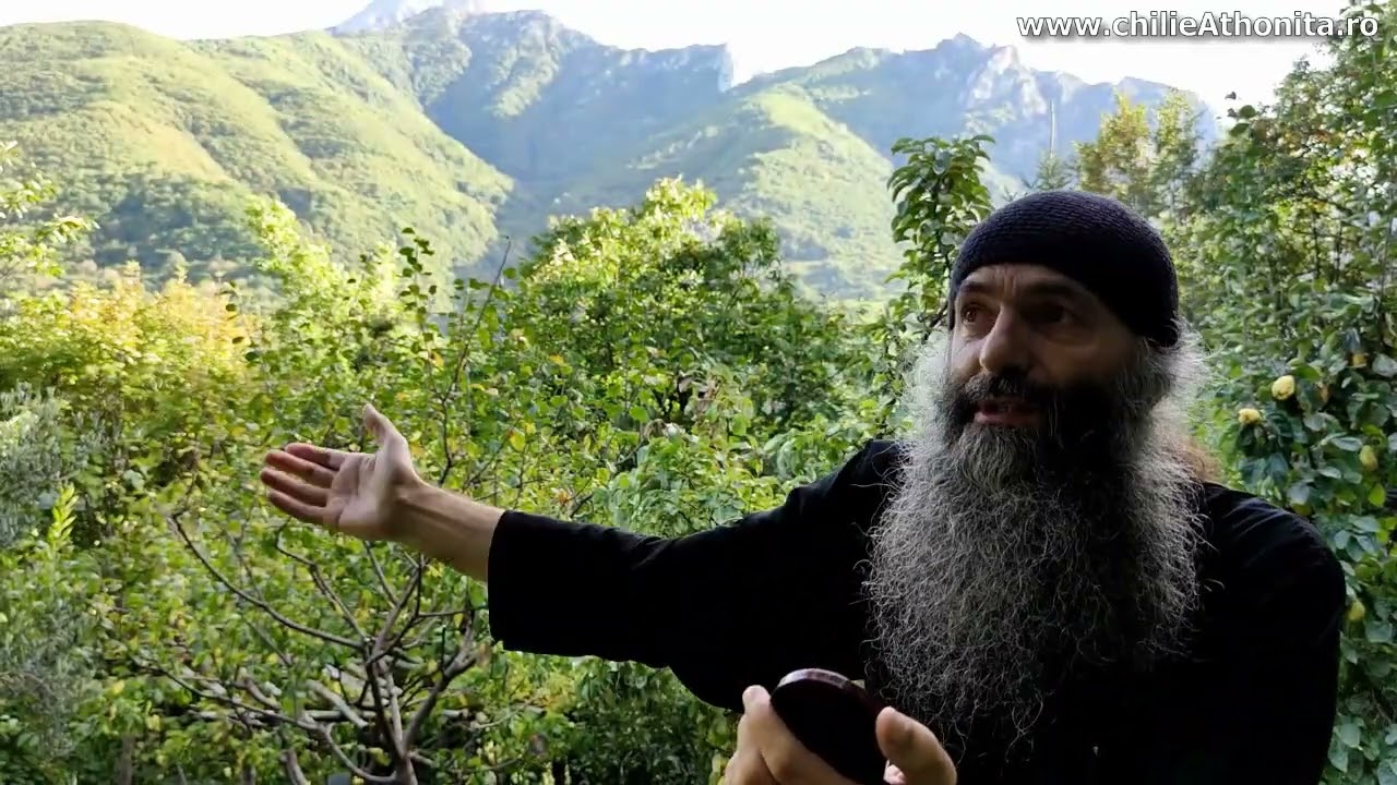 Milostenia atrage Harul - părintele Pimen Vlad