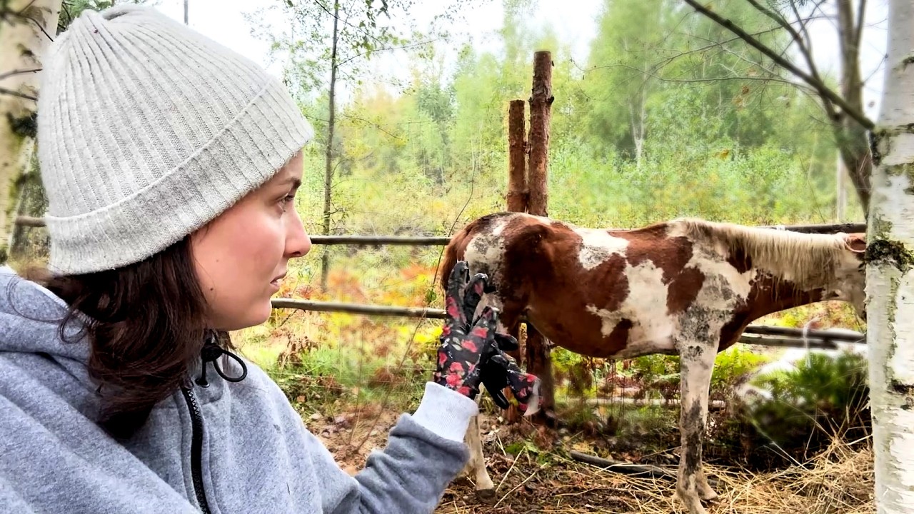 ДИКАЯ ЛОШАДЬ С БОЙНИ. ПРОДОЛЖЕНИЕ. Как справляемся? Подготавливаем новый участок под строительство.