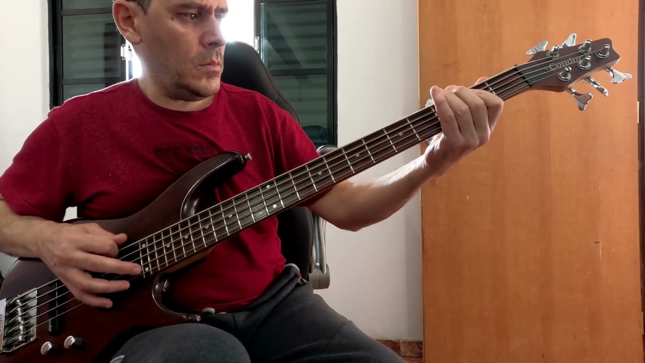 Bass Cover   Alice in Chains   Would