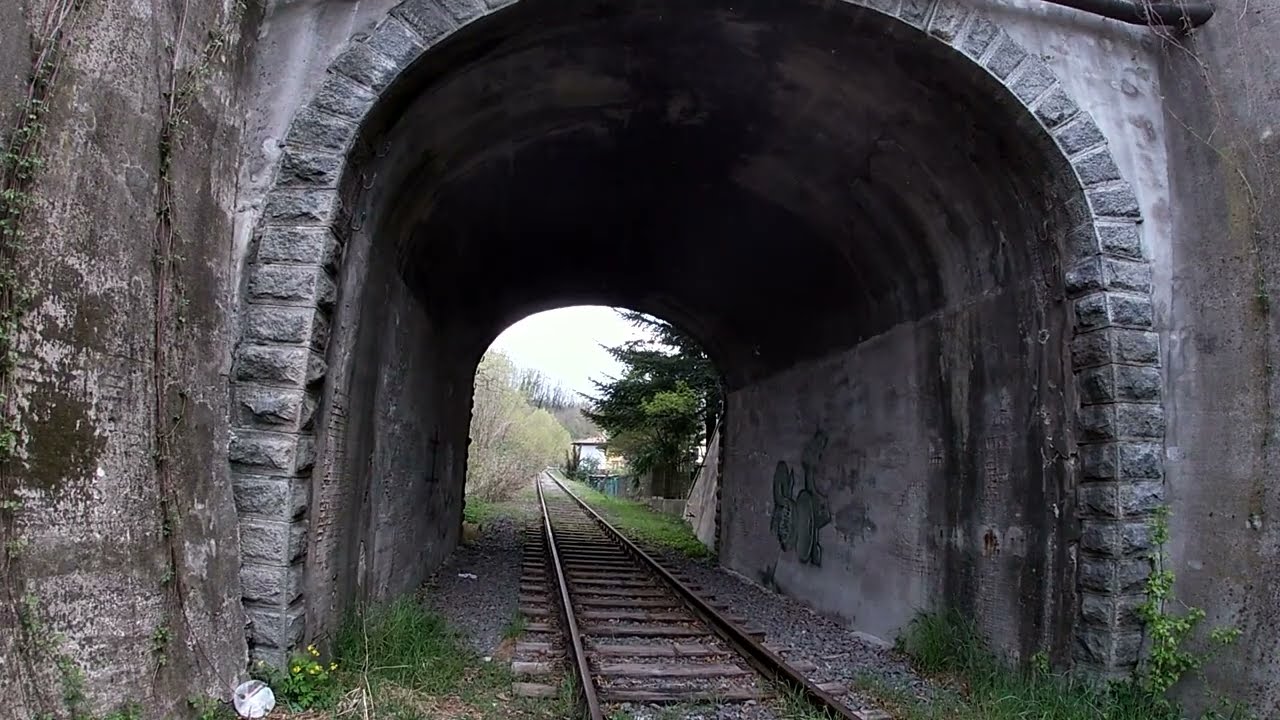 PASSEGGIANDO LUNGO I BINARI NELLA VECCHIA FERROVIA DELLA VALMOREA...   Malnate ( VA )