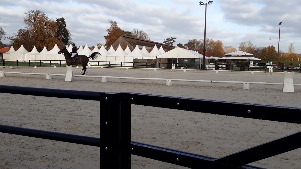 VETP dressage Estelle