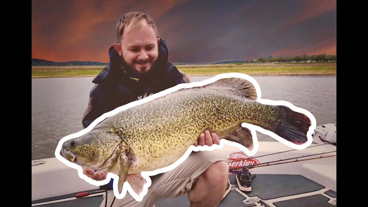 Caught in big storm trolling for Leslie dam cod