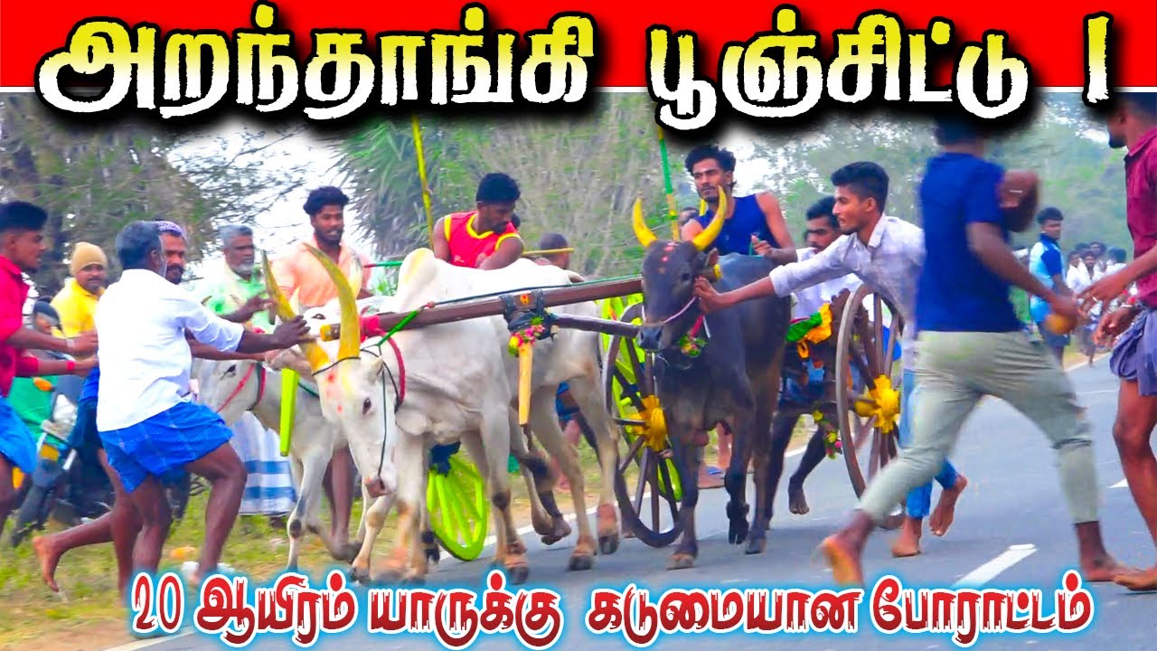 அறந்தாங்கி சின்னமடு 08/02/206 #krish_studio_kattumavadi