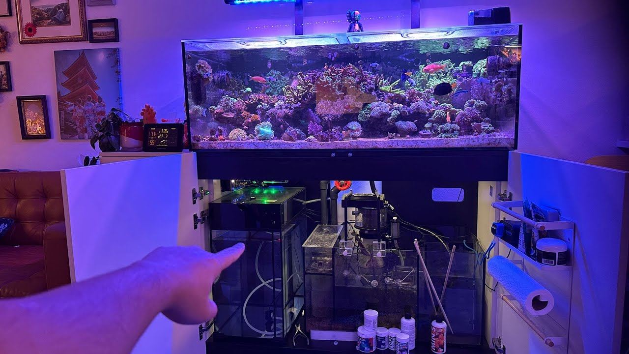 Reef Aquarium ATO Reservoir - Innovative Marine 15 Gallon tank