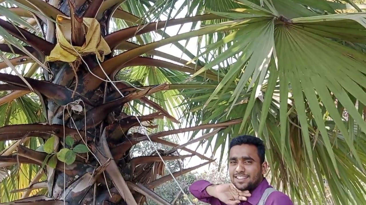 Jhataka machine wire kam budget ke andar fitting