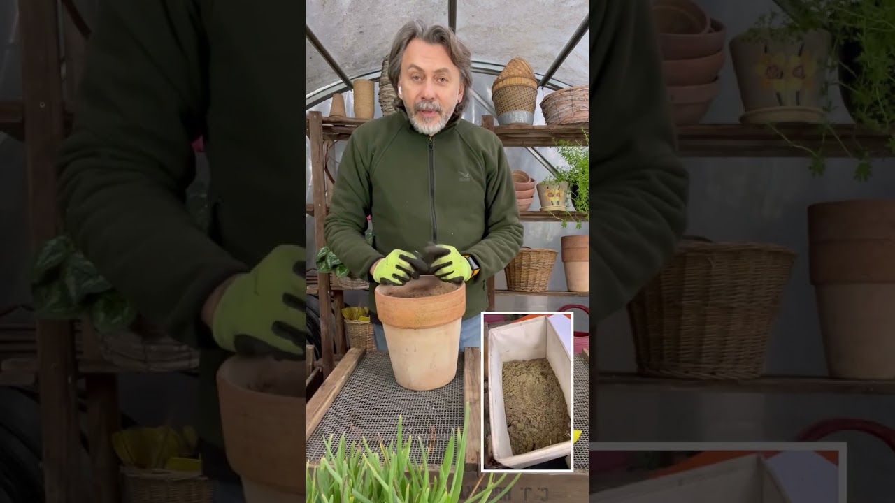 Lasagnaplanting… piantiamo i bulbi da fiore a strati per una lunga fioritura primaverile!