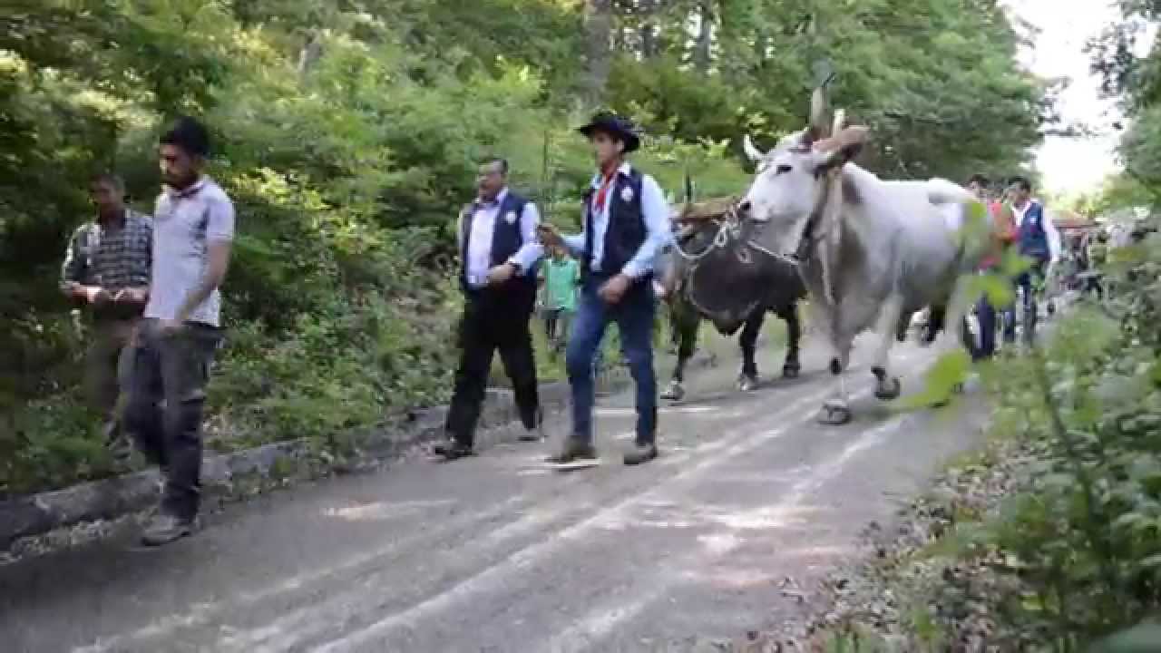 Pietrapertosa Il Maggio 2014 - parte 1