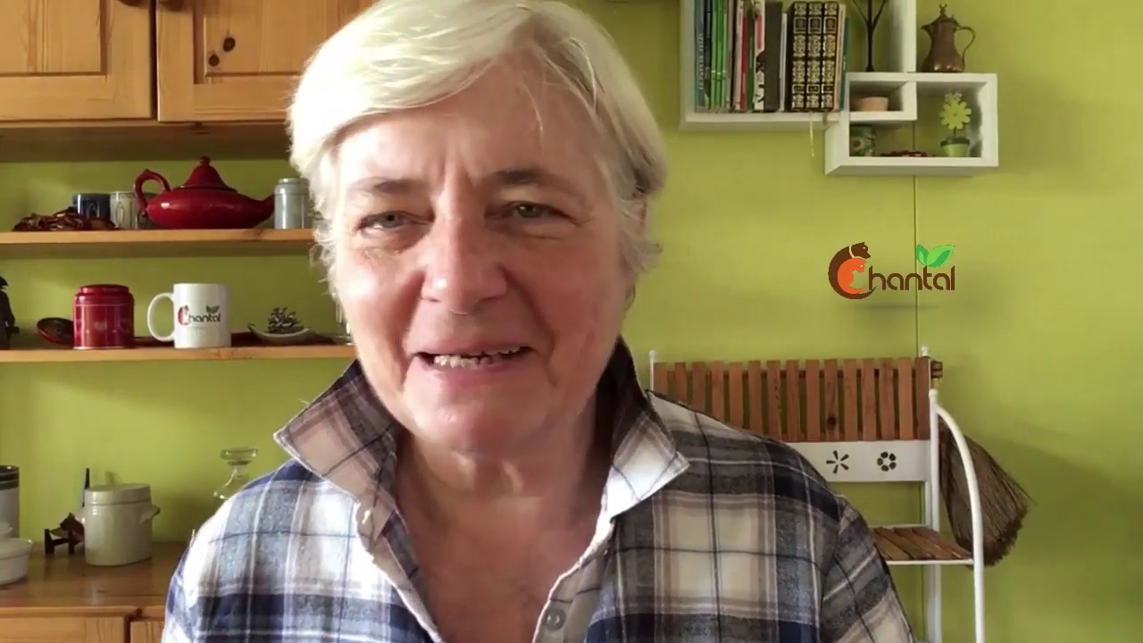 L' homéopathie pour les animaux