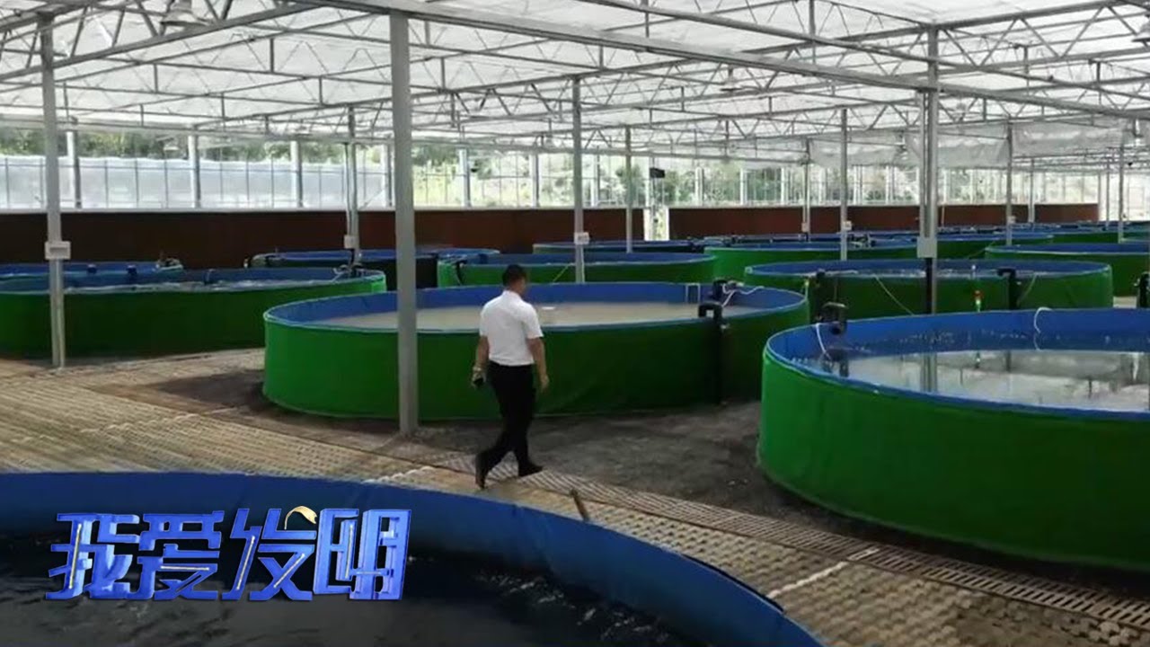调好水质养好鱼！他竟把鱼儿的新家放在岸上，运用“黑科技”让传统养殖业焕发新生机！|「我爱发明」20220804
