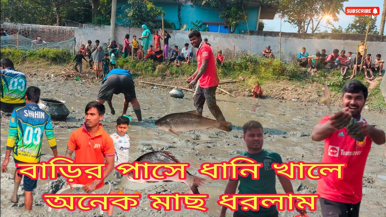 বাড়ির পাসে ধানি খালে অনেক মাছ ধরলাম সব বন্ধুরা একসাথে।