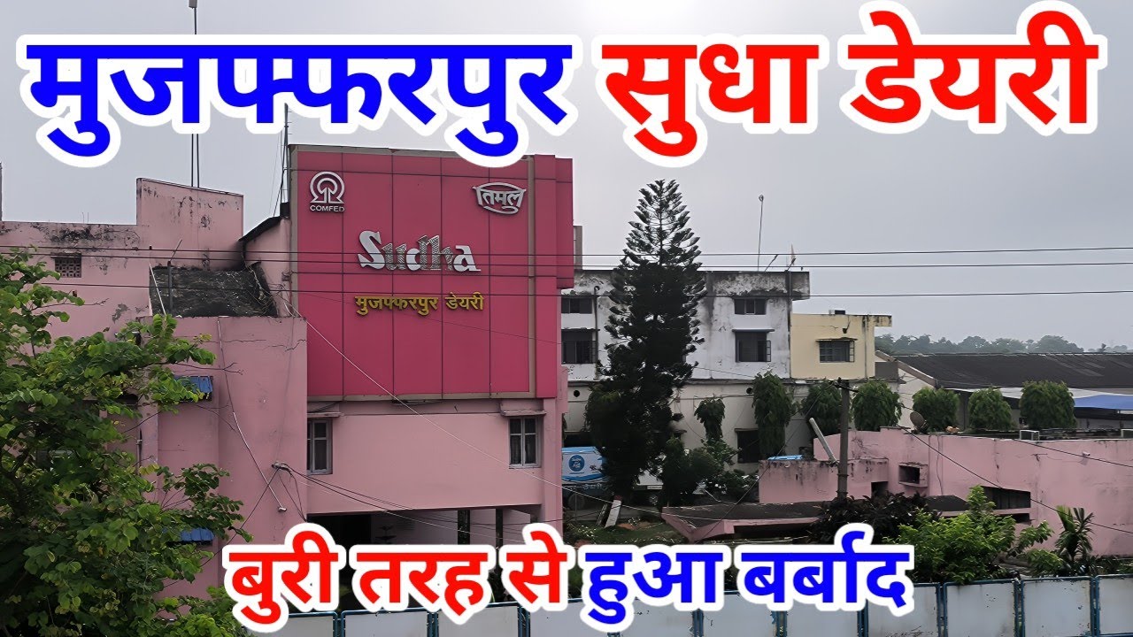 मुजफ्फरपुर सुधा डेयरी यहां पर सारी मिठाइयां घी में बनती है || Muzaffarpur Sudha dairy || Daily Vlogs