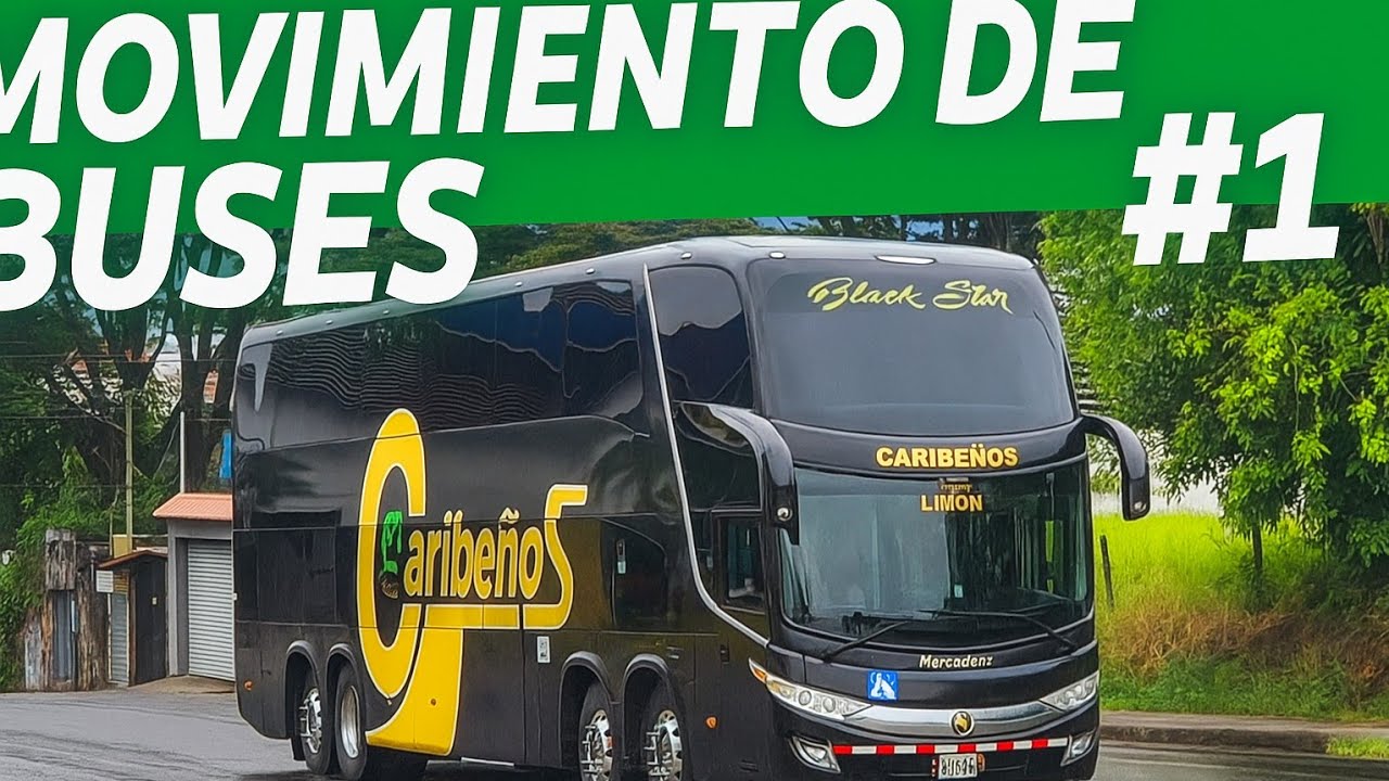 Movimiento de Buses #1 - Gran Terminal del Caribe