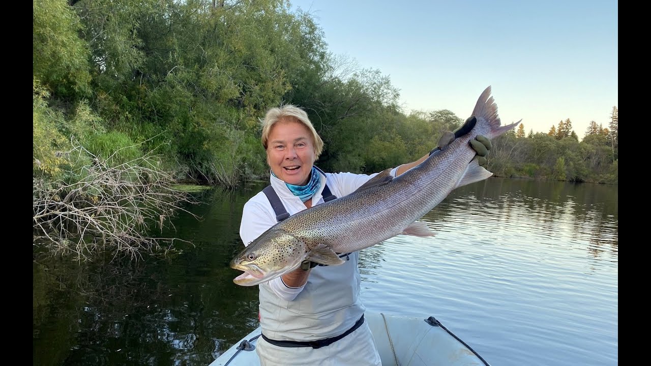 Ловля сахалинского тайменя в реках Северного Сахалина. Команда SMITH Russia
