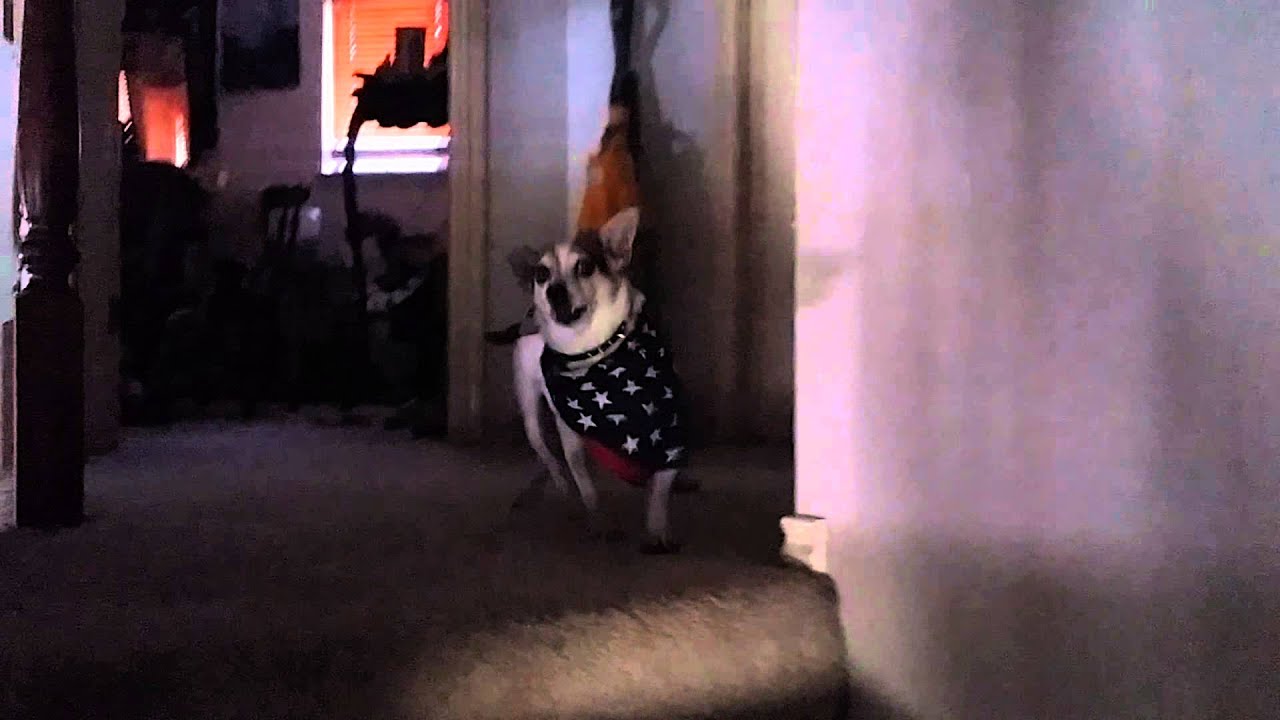 Bugsy Plays on the Way Up