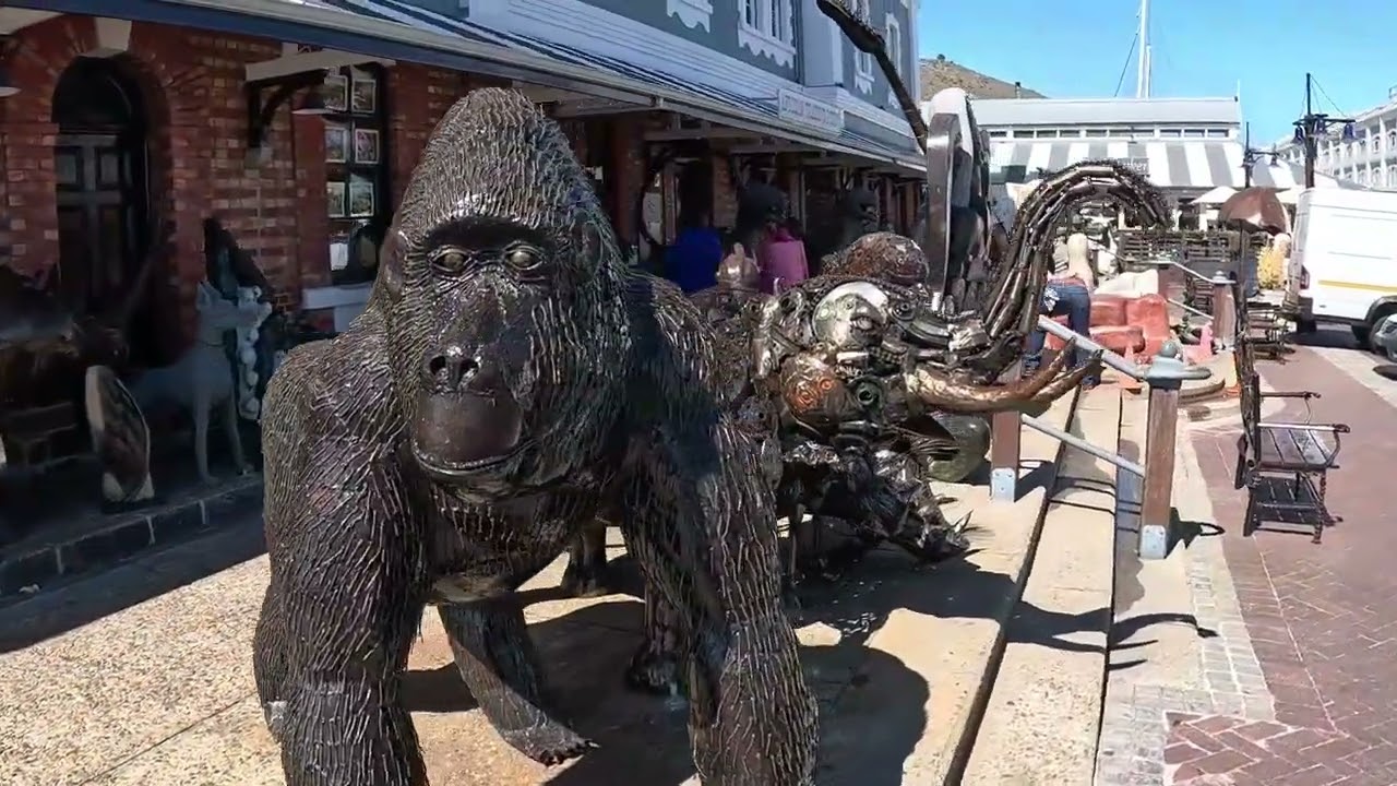 Capetown - Sightseeing