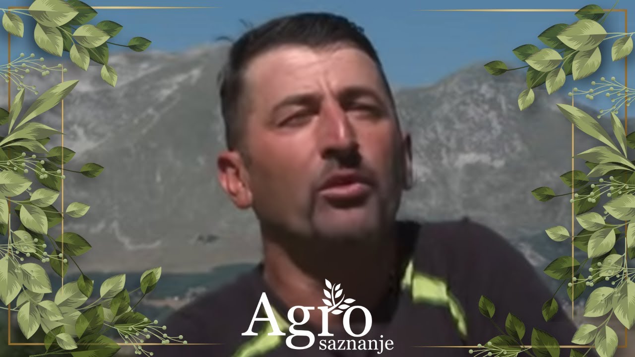 Priče sa katuna Odrag, Bara Žugiča i iz Tepaca  -    AGROSAZNANJE