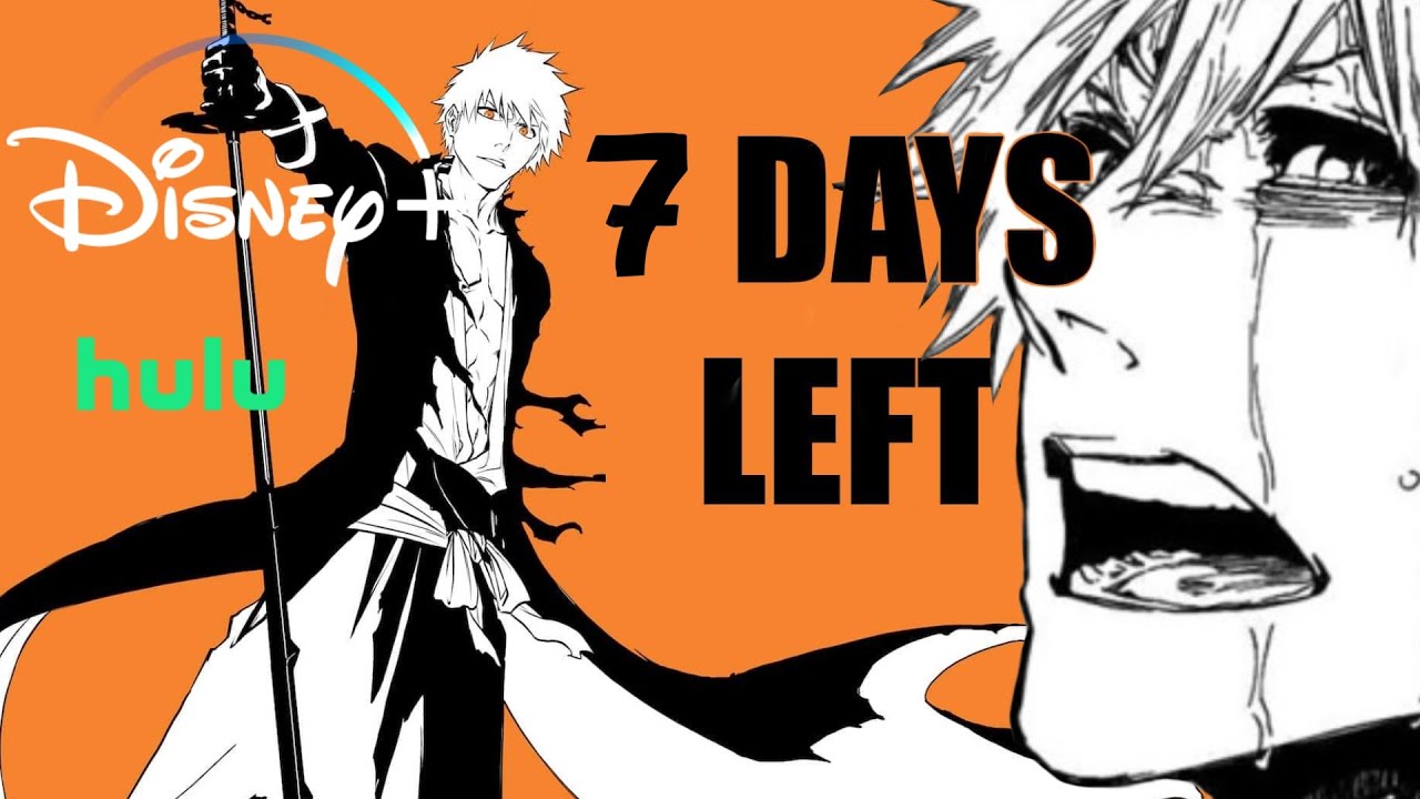 Finally Where to Watch Bleach ! ( Hulu, Viz, Disney plus, Crunchyroll)