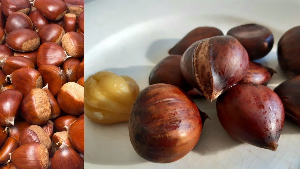Como Cocer CASTA&Ntilde;AS. F&aacute;cilmente SIN pelarlas antes.