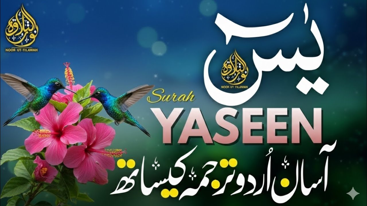 Surah Yasin Full with Urdu Translation | Morning Recitation for Barakah | Qari Mansoor Ghaznavi | 