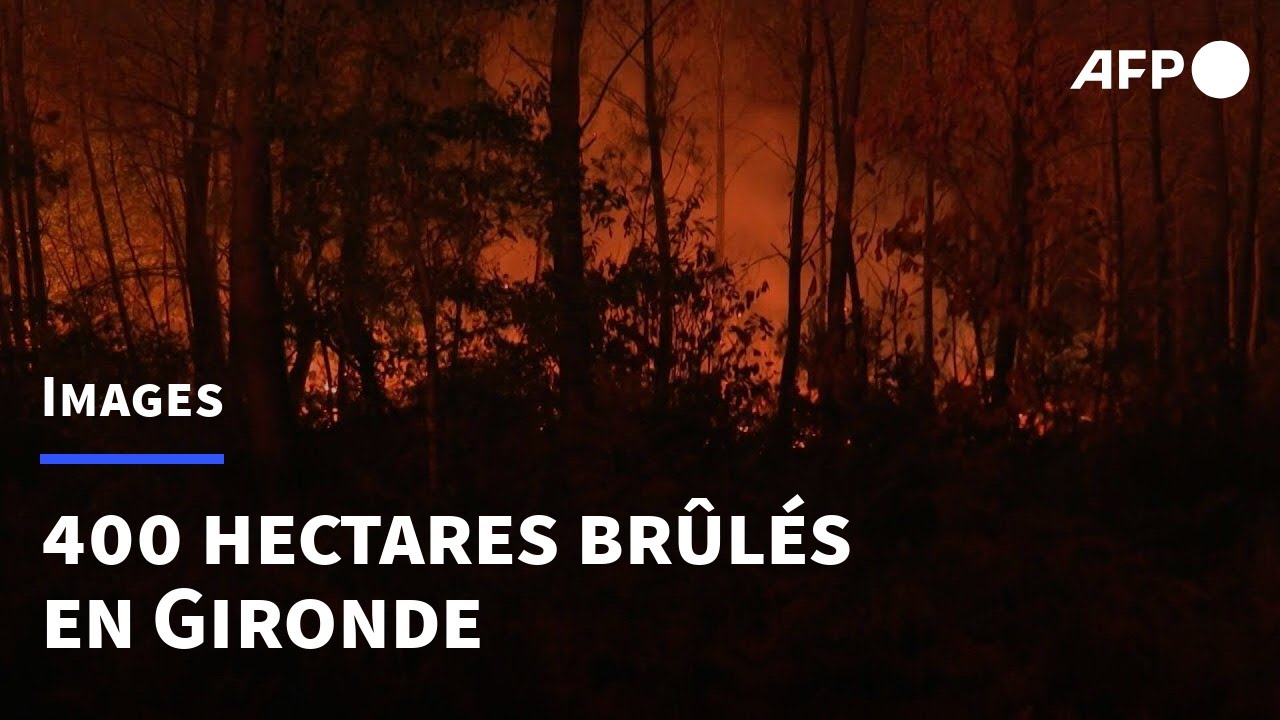 Gironde: 400 hectares brûlés et un bourg évacué dans un incendie en cours | AFP Images