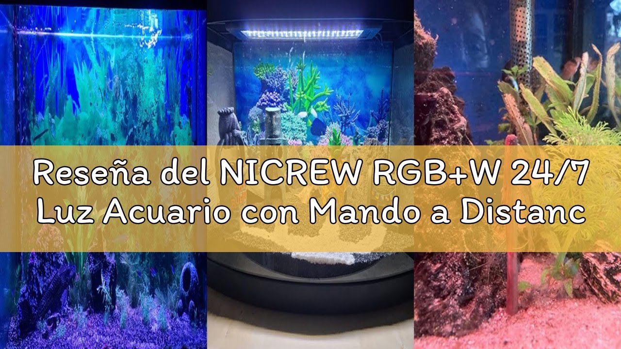 Reseña del NICREW RGB+W 24/7 Luz Acuario con Mando a Distancia y Función de Temporizador, LED Acuari