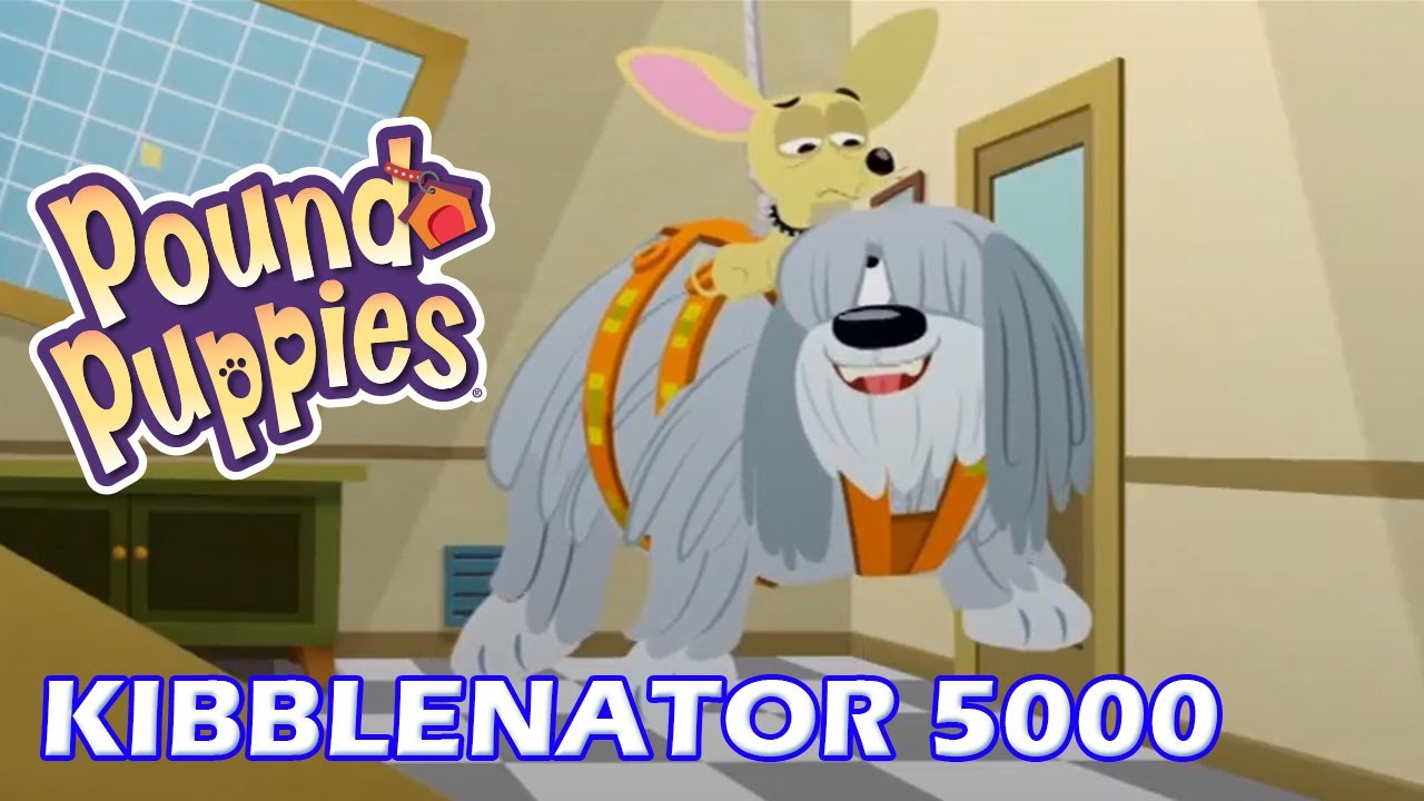 The Kibblenator 5000! Pound Puppies: A Perfect Match